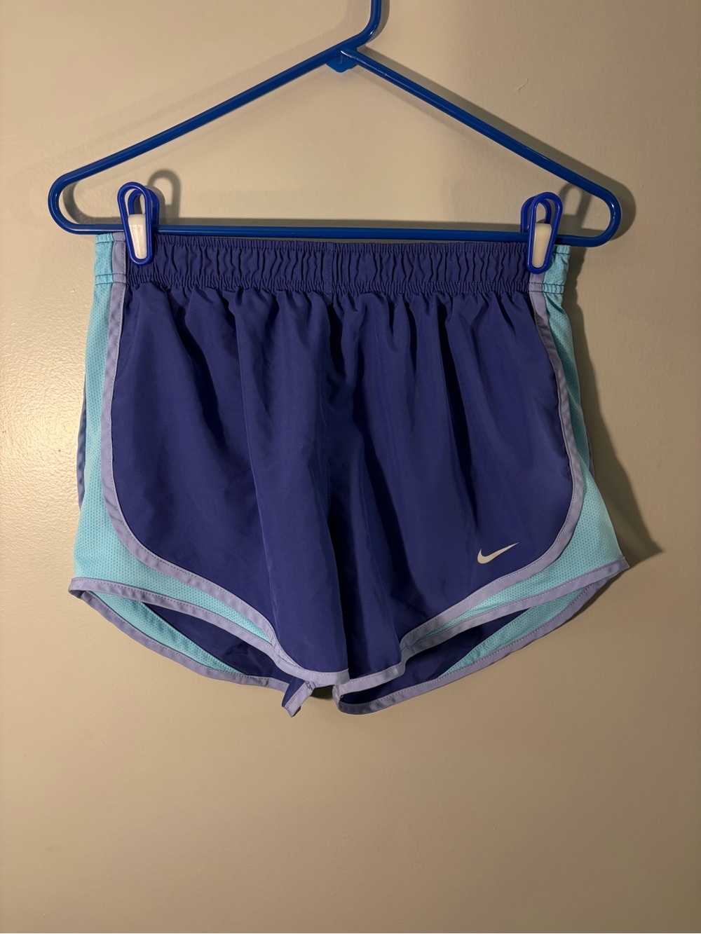 Nike Women’s Purple and Aqua Athletic Shorts